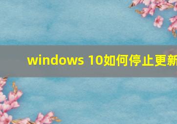 windows 10如何停止更新